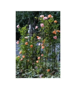 Dehner Premium Obelisk Odin -Gartenbedarf Förderung 2480069 2480093 2480119 WE MO 006 DehnerPremiumObeliskOdinRankhilfe