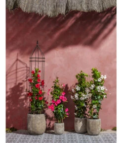 Dehner Premium Obelisk Odin -Gartenbedarf Förderung 2480069 2480093 2480119 WE MO 007 DehnerPremiumObeliskOdin