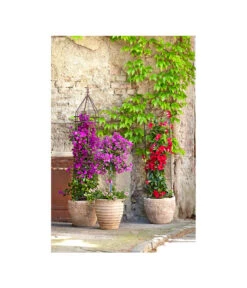 Dehner Premium Obelisk Odin -Gartenbedarf Förderung 2481976 2481596 2481927 WE MO 001 DehnerHalbobelisk