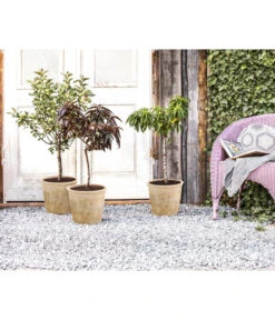 Terrakotta-Topf Grado, Rund, Antik-terrakotta 6 Terrakotta-Topf Grado, Rund, Antik-terrakotta -Gartenbedarf Förderung 2782613 WE MO 002 TerrakottaTopfGraffiato