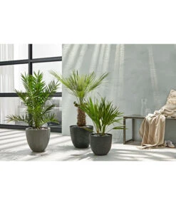 Dehner Polystone-Topf Brisbane In Riffeloptik, Rund -Gartenbedarf Förderung 3158847 3158870 3158888 WE MO 003 PolystoneTopfinRiffeloptikrundsand