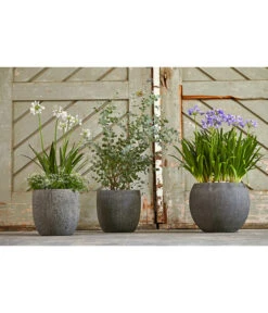 Dehner Polystone-Topf Kapstadt, Rund, Grau 9 Dehner Polystone-Topf Kapstadt, Rund, Grau -Gartenbedarf Förderung 3207990 3208022 WE MO 002 DehnerPolystoneTopfbauchiggrau