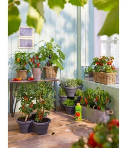 Van Der Leeden Rattan-Pflanzkasten, Graubraun -Gartenbedarf Förderung 3679347 3692761 5215942 1524404 WE MO 001 RattantopfRattankastenKunststofftopfCorsicaDehnerBioGemueseduenger