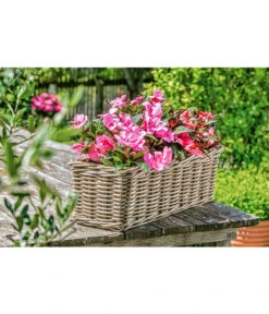 Van Der Leeden Rattan-Pflanzkasten, Graubraun -Gartenbedarf Förderung 3692506 3692548 3692761 WE MO 003 RattanPflanzkastenbraunBlumenkasten