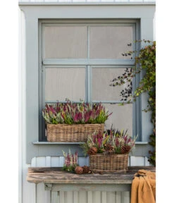 Van Der Leeden Rattan-Pflanzkasten, Graubraun -Gartenbedarf Förderung 3692761 3692548 3692506 WE MO 014 RattanPflanzkastenbraun