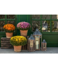 Spang Terrakotta-Topf Toscana, Rund 11 Spang Terrakotta-Topf Toscana, Rund -Gartenbedarf Förderung 3697612 WE MO 003 TerrakottaTopfToscana