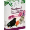 Dehner Natura Premium Wildvogelfutter Gourmet Blocks Mit Vogelbeeren -Gartenbedarf Förderung 4206926 WE FS 001 DehnerNaturaWildvogelfutterGourmetBlocksVogelbeeren