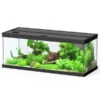 Dehner Aqua Premium Aquarium-Set ProLine 100, Schwarz, 160 L, Ca. B100/H40/T40 Cm 1 Dehner Aqua Premium Aquarium-Set ProLine 100, Schwarz, 160 L, Ca. B100/H40/T40 Cm -Gartenbedarf Förderung 4277224 WE FS 001 DehneAquaPremiumProLine100