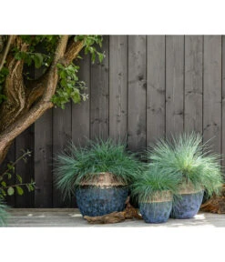 Dehner Keramik-Topf Mystras, Rund, Blau-braun -Gartenbedarf Förderung 4441317 4441341 4441408 WE MO 002 DehnerKeramikTopfMystrasrundblaubraun