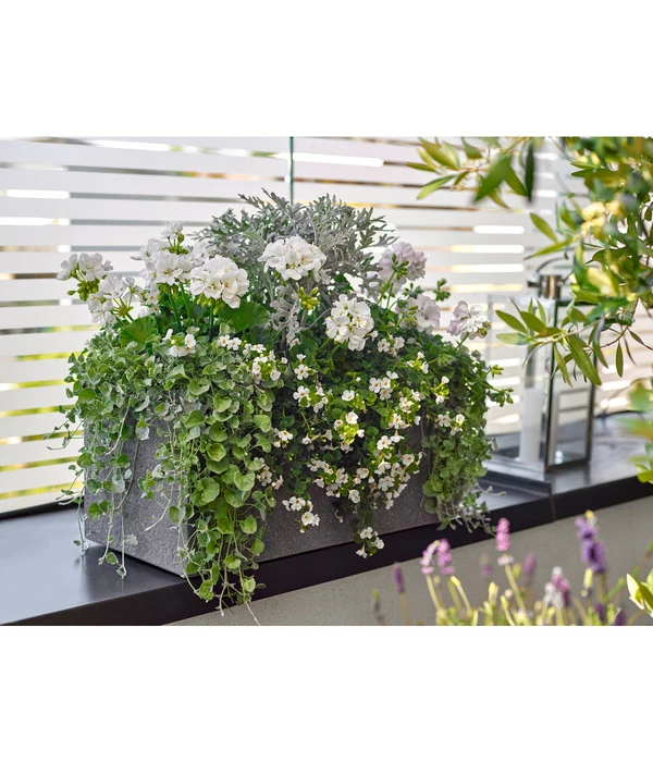 Dehner Leichtbeton-Kasten Rock, Rechteckig, Grau 5 Dehner Leichtbeton-Kasten Rock, Rechteckig, Grau – Bild 3