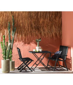 Dehner Klappstuhl Chicago -Gartenbedarf Förderung 6701544 WE MO 002 BalkongruppeChicago