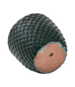 Dehner Keramik-Topf Elite -Gartenbedarf Förderung 6705461 6505479 6705487 WE DE 001 Keramikpflanztopf Elite