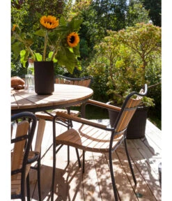 Cinas Stapelstuhl Ellen -Gartenbedarf Förderung 6843569 WE MO 002 EllenArmlehnstuhl