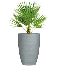 Scheurich Kunststoff-Topf Barceo High, Rund 12 Scheurich Kunststoff-Topf Barceo High, Rund -Gartenbedarf Förderung 6878946 WE FS 002 ScheurichBlumentopfBarecoHighGrau