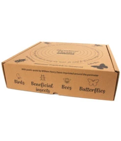 Wildlife Vogeltränke Shenstone, Hellgrün, Ca. Ø44,5/H12 Cm 16 Wildlife Vogeltränke Shenstone, Hellgrün, Ca. Ø44,5/H12 Cm -Gartenbedarf Förderung 6952410 WE DE 003 WildlifeShenstoneVogeltraenke