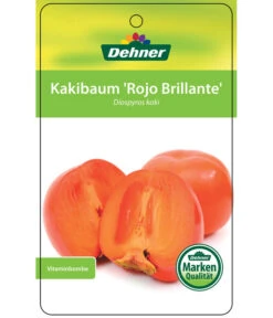 Dehner Kaki 'Rojo Brillante' - Kaki-Pflaume 'Rojo Brillante' 14 Dehner Kaki 'Rojo Brillante' - Kaki-Pflaume 'Rojo Brillante' -Gartenbedarf Förderung 7167414 KakiRojoBrillante Etikett 01