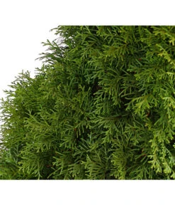 3 Meter Lebensbaum 'Smaragd', 6 X Ca. 150-175 Cm 11 3 Meter Lebensbaum 'Smaragd', 6 X Ca. 150-175 Cm -Gartenbedarf Förderung 7513534 WE DE 001 ThujaLebensbaumOccidentalisSmaragd20LDehnerExpressHerzig