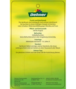 Aprikose 'Compacta' -Gartenbedarf Förderung 7626021 AprikoseCompacta Etikett 2