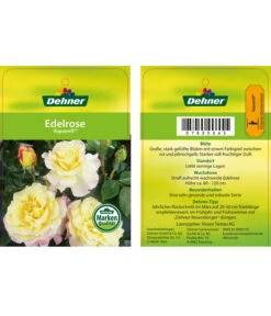 Edelrosen-Mix 'Nostalgie®' -Gartenbedarf Förderung 7800063 AquarellEdelrose Etikett1