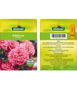 Edelrosen-Mix 'Nostalgie®' -Gartenbedarf Förderung 7800063 AshleyEdelrose Etikett1