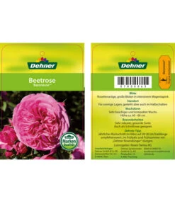 Edelrosen-Mix 'Nostalgie®' -Gartenbedarf Förderung 7800063 BaronesseBeetrose Etikett1