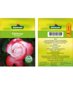 Edelrosen-Mix 'Nostalgie®' -Gartenbedarf Förderung 7800063 NostalgieEdelrose Etikett1