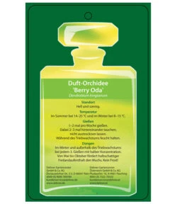 Duft-Traubenorchidee - Dendrobium Kingianum 'Berry' 9 Duft-Traubenorchidee - Dendrobium Kingianum 'Berry' -Gartenbedarf Förderung 8250714 DuftorchideeBeryyOdaEtikett2