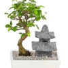 Bonsai Mit Buddha/Pagode, Verschiedene Sorten -Gartenbedarf Förderung 8686669 PR FS 001 BonsaiMixMitBuddhaPagodeT18DehnerExpressHerzig