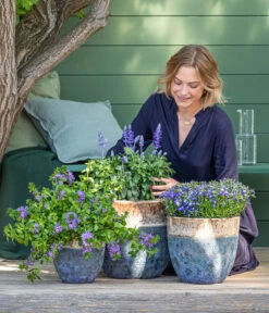 Dehner Keramik-Topf Mystras, Rund, Blau-braun -Gartenbedarf Förderung 8811143 WE MO 001 BlaueMauritius