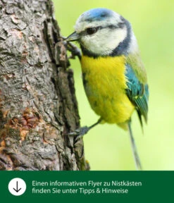 Dehner Natura Nistkasten CLiCK, Ca. B17/H22,5/T12 Cm -Gartenbedarf Förderung WE IG FlyergrafikDehnerNaturaNistkaesten