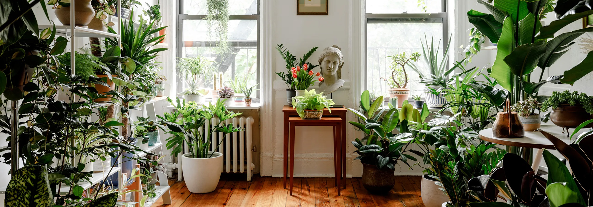 Gartenbedarf Förderung -Gartenbedarf Förderung 1